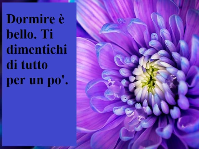 Dormire è bello. Ti dimentichi di tutto per un po'.
