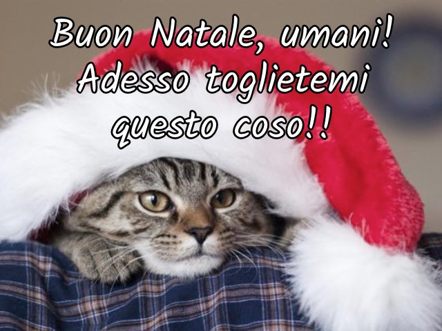 Buon Natale, umani! Adesso toglietemi questo coso!!