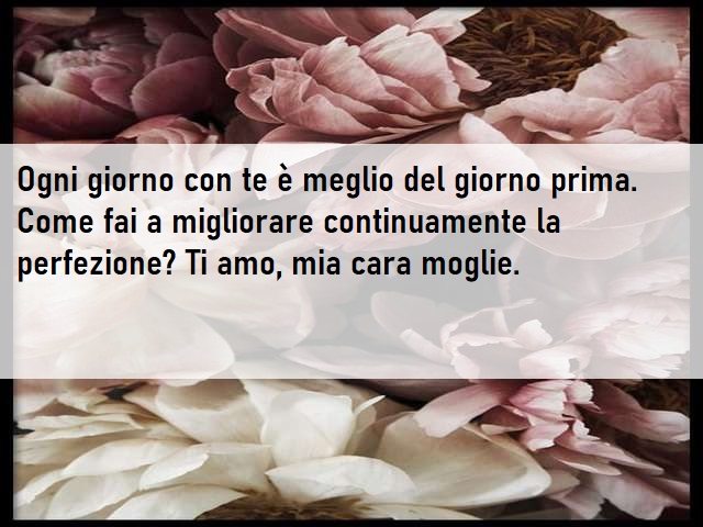 Ogni giorno con te è meglio del giorno prima. Come fai a migliorare continuamente la perfezione? Ti amo, mia cara moglie.