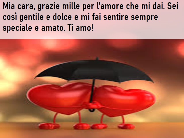 Mia cara, grazie mille per l'amore che mi dai. Sei così gentile e dolce e mi fai sentire sempre speciale e amato. Ti amo!