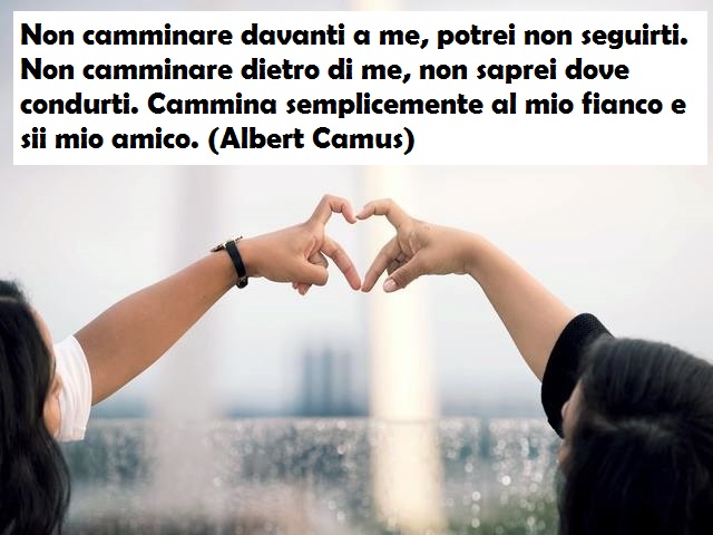 Non camminare davanti a me, potrei non seguirti. Non camminare dietro di me, non saprei dove condurti. Cammina semplicemente al mio fianco e sii mio amico. (Albert Camus)