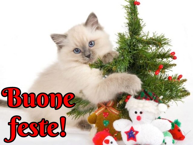Buone feste!