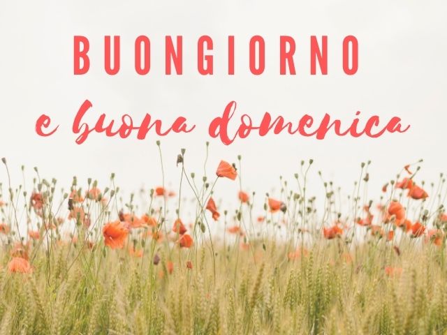 Buongiorno e buona domenica.