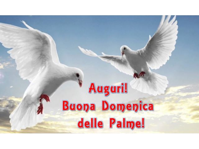 Auguri! Buona Domenica delle Palme!
