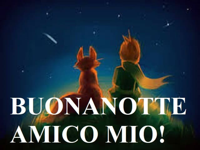 Buonanotte amico mio!