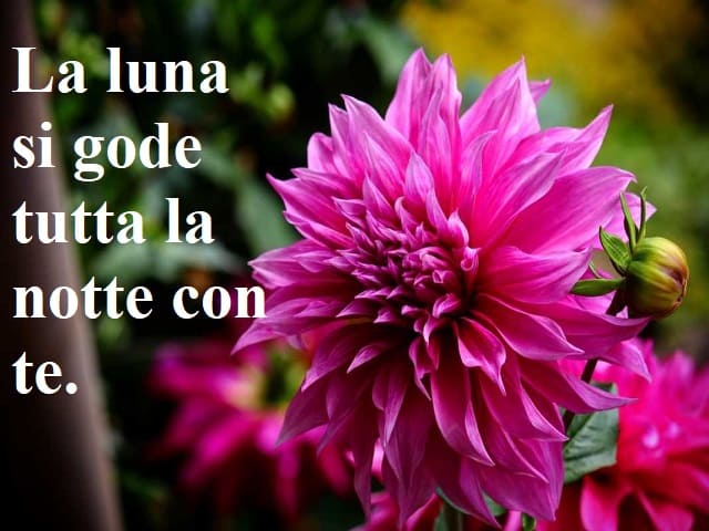La luna si gode tutta la notte con te.