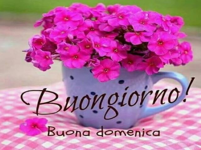 Buongiorno! Buona domenica.
