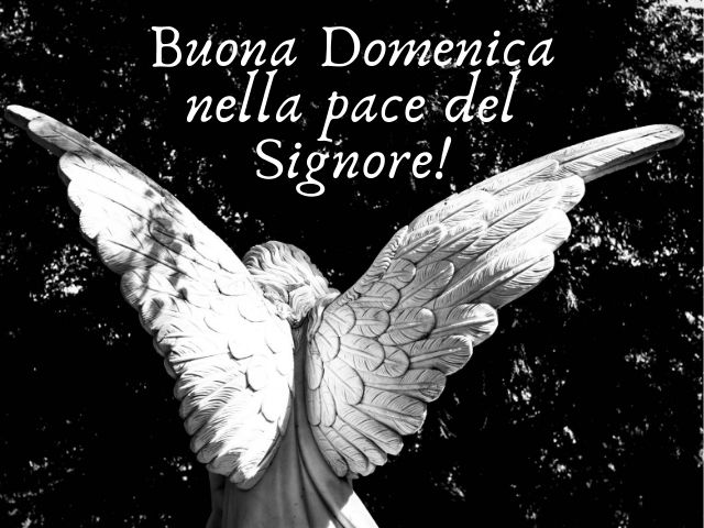Buona domenica nella pace del Signore!
