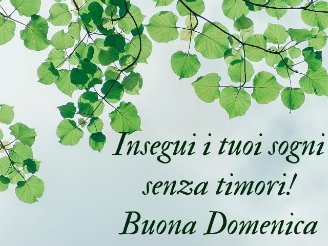 Insegui i tuoi sogni senza timori! Buona domenica.