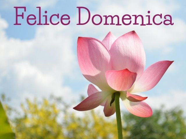Felice domenica.