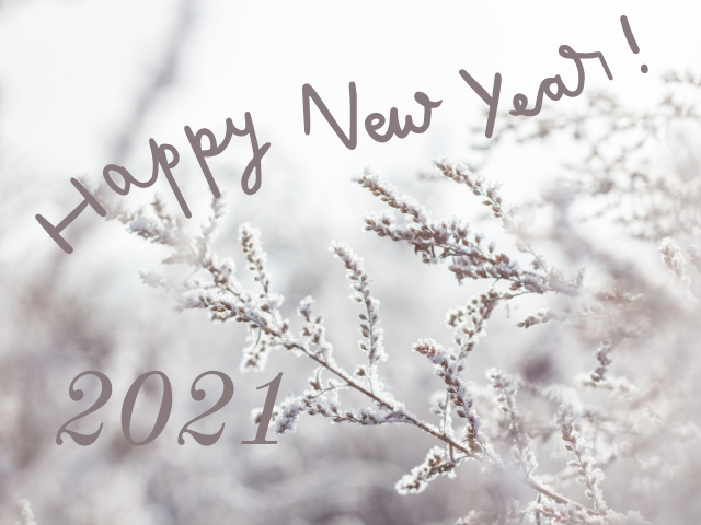 Happy New Year! 2021 (Felice Anno Nuovo! 2021)