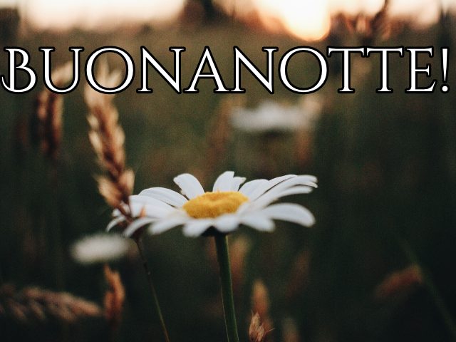 Buonanotte!