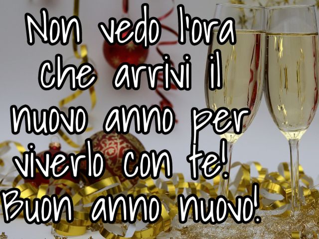 Non vedo l'ora che arrivi il nuovo anno per viverlo con te! Buon anno nuovo!