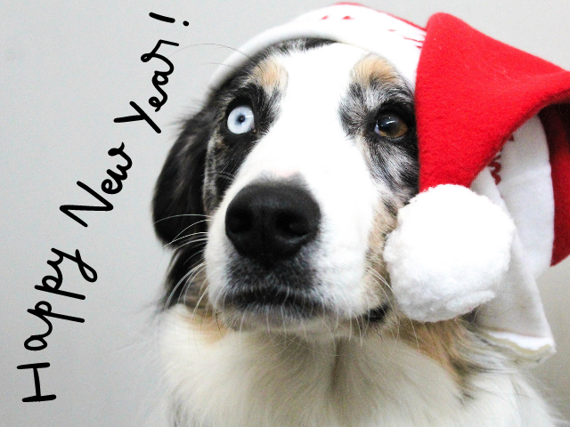 Happy New Year! (Felice Anno Nuovo!)