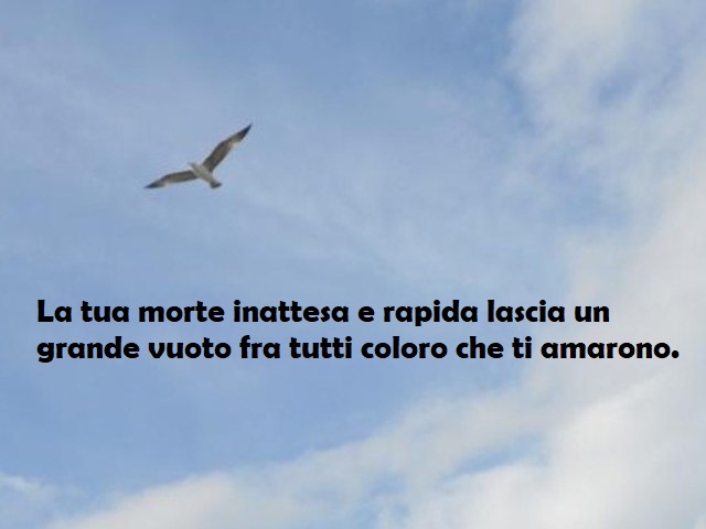 La tua morte inattesa e rapida lascia un grande vuoto fra tutti coloro che ti amarono.
