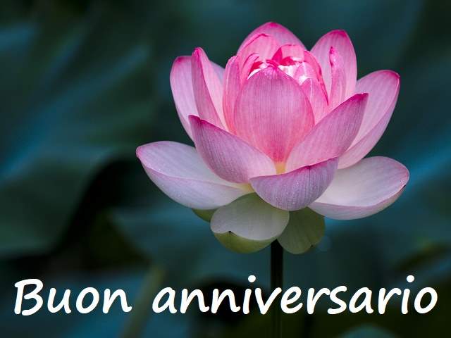 Buon anniversario