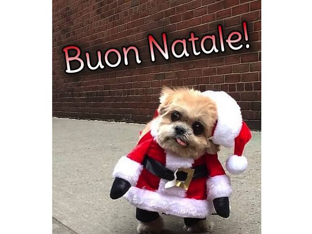 Buon Natale!