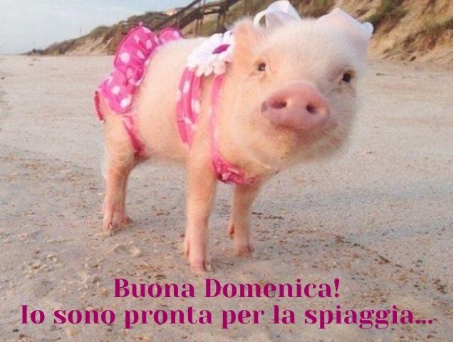 Buona domenica! Io sono pronta per la spiaggia.