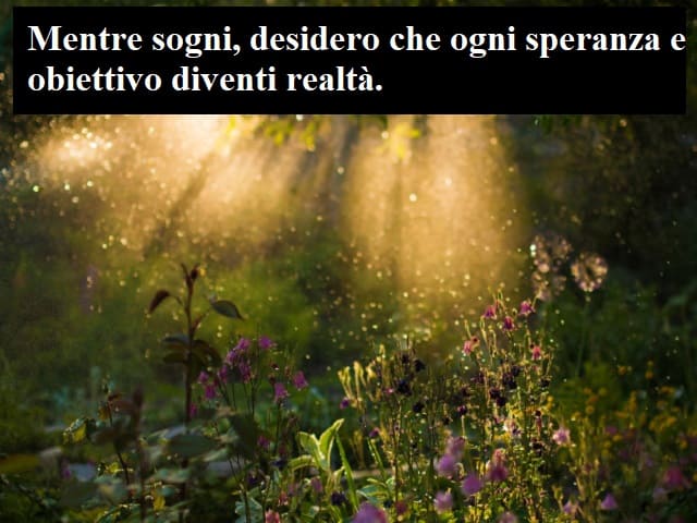 Mentre sogni, desidero che ogni speranza e obiettivo diventi realtà.