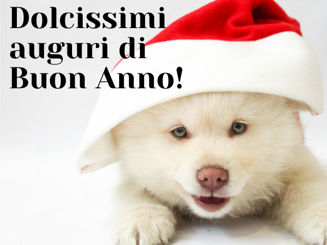 Dolcissimi auguri di Buon Anno!