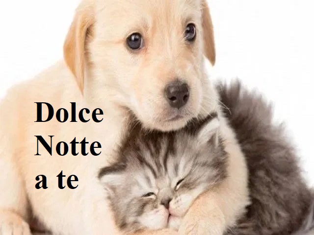 Dolce notte a te.