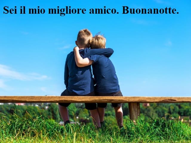 Sei il mio migliore amico. Buonanotte.