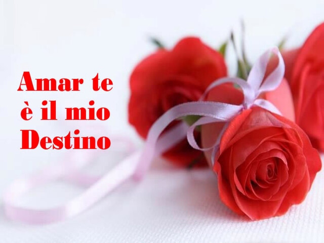 Amar te è il mio destino.