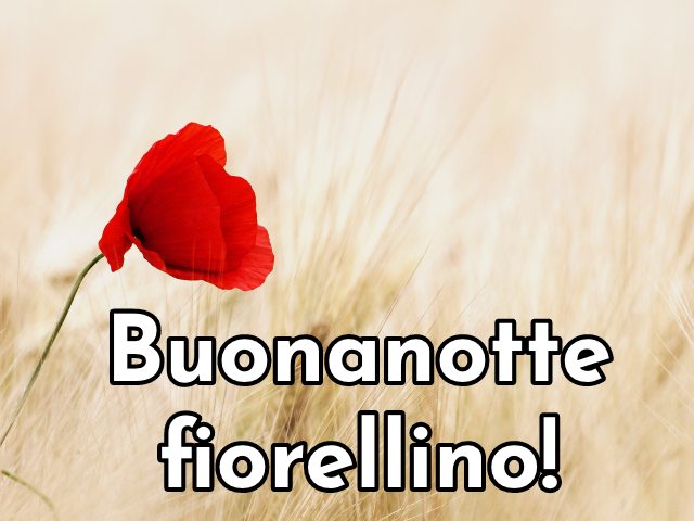 Buonanotte fiorellino!