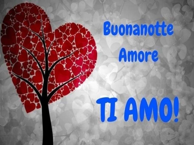Buonanotte amore ti amo!