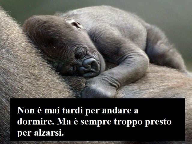 Non è mai tardi per andare a dormire. Ma è sempre troppo presto per alzarsi.