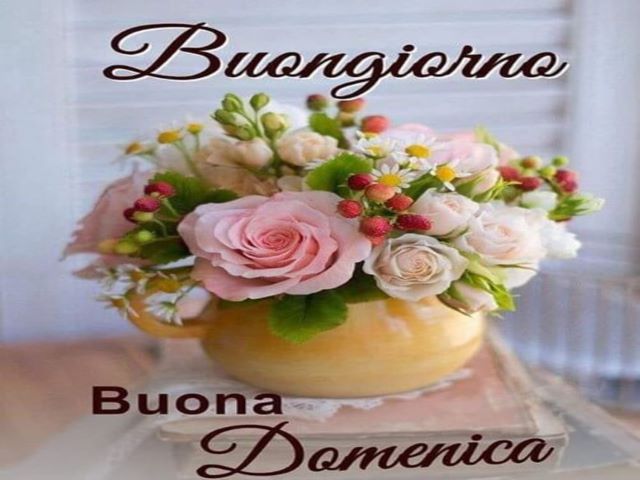 Buongiorno. Buona domenica.