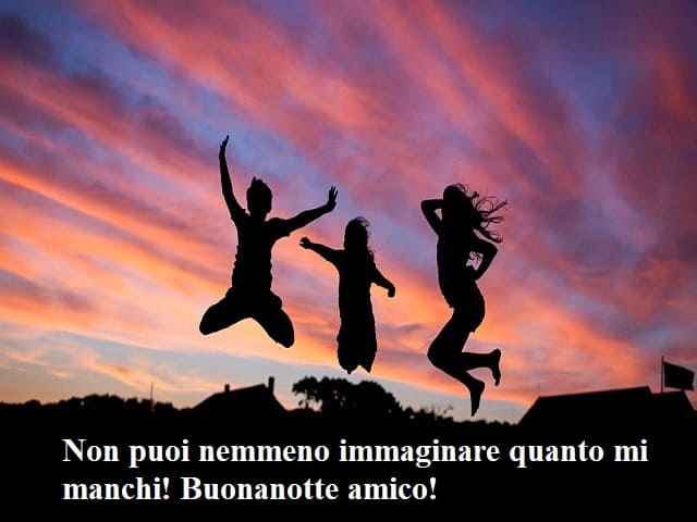Non puoi nemmeno immaginare quanto mi manchi! Buonanotte amico!
