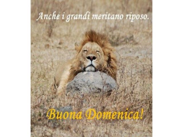 Anche i grandi meritano riposo.Buona domenica!