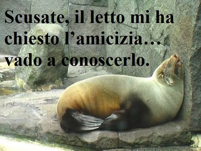 Scusate, il letto mi ha chiesto l'amicizia… vado a conoscerlo.