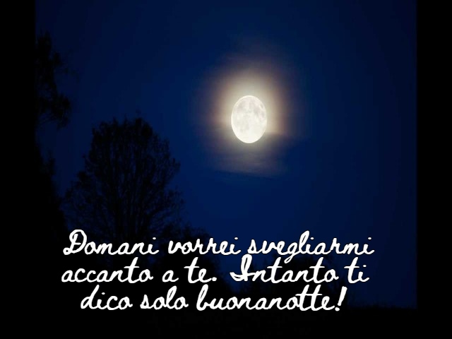 Domani vorrei svegliarmi accanto a te. Intanto ti dico solo buonanotte!