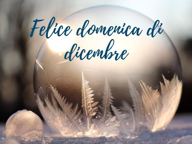 Felice domenica di dicembre.