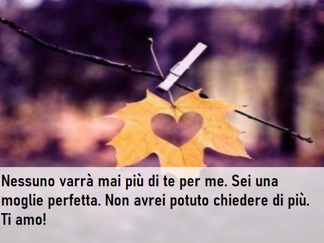 Nessuno varrà mai più di te per me. Sei una moglie perfetta. Non avrei potuto chiedere di più. Ti amo!