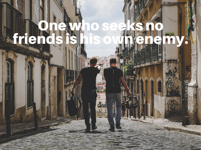 One who seeks no friends is his own enemy. (Chi non cerca amici è il nemico di se stesso)