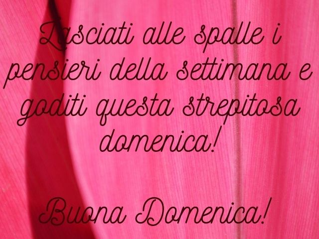 Lasciati alle spalle i pensieri della settimana e goditi questa strepitosa domenica!Buona domenica!