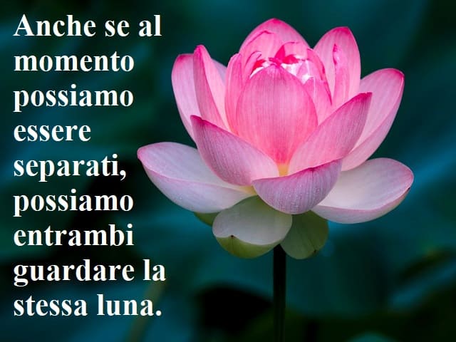 Anche se al momento possiamo essere separati, possiamo entrambi guardare la stessa luna.