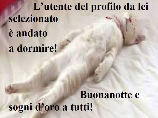 L'utente del profilo da lei selezionato è andato a dormire! Buonanotte e sogni d'oro a tutti!