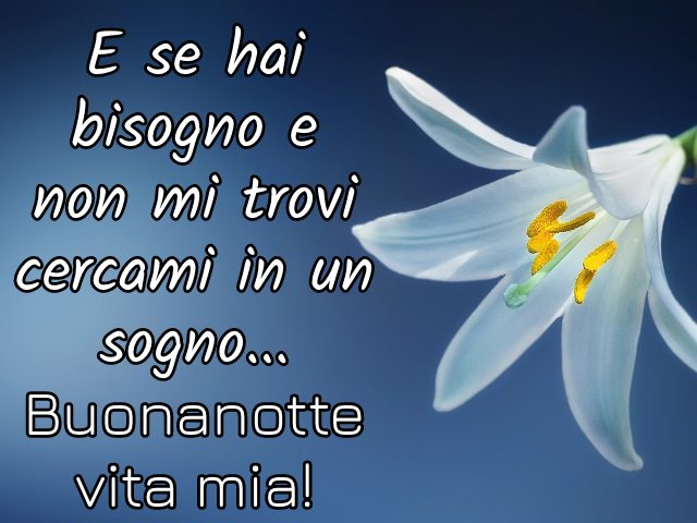 E se hai bisogno e non mi trovi cercami in un sogno... Buonanotte vita mia!