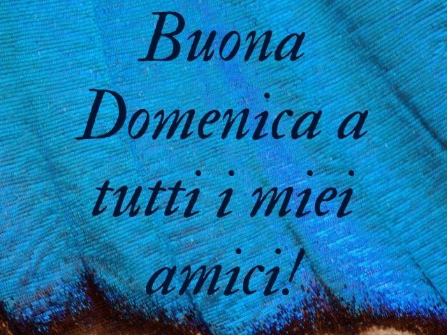 Buona domenica a tutti i miei amici!