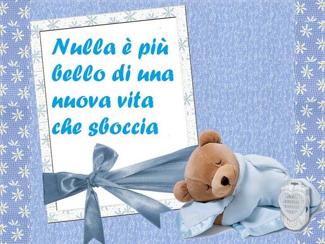 Nulla è più bello di una nuova vita che sboccia