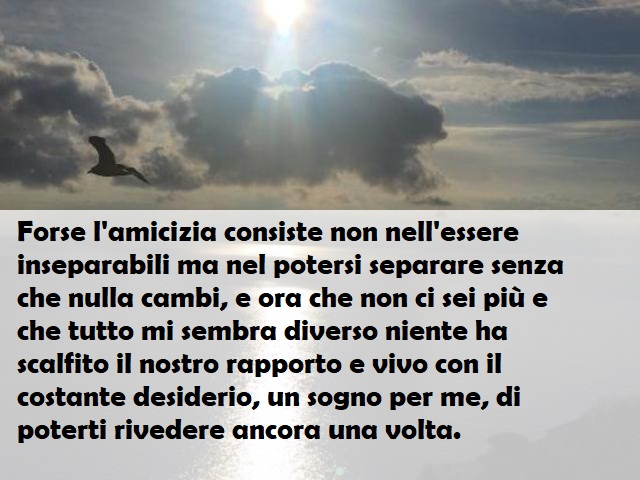 Forse l'amicizia consiste non nell'essere inseparabili ma nel potersi separare senza che nulla cambi, e ora che non ci sei più e che tutto mi sembra diverso niente ha scalfito il nostro rapporto e vivo con il costante desiderio, un sogno per me, di potert
