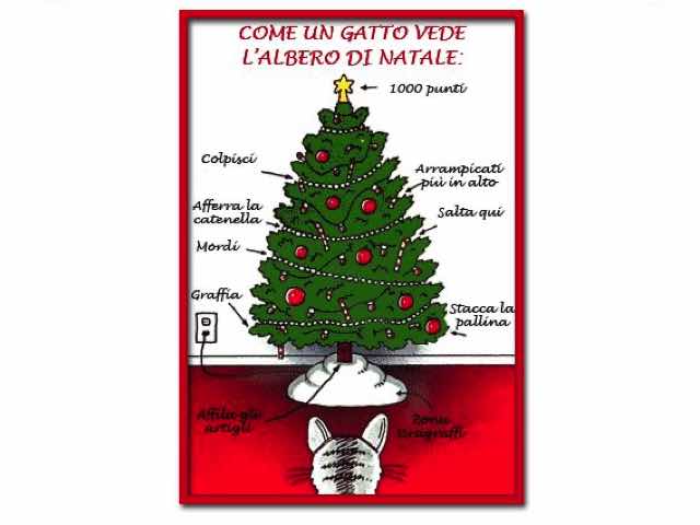 Come un gatto vede un albero di Natale.