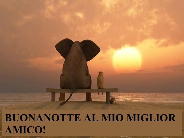 Buonanotte al mio miglior amico!
