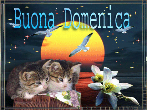 Buona domenica.