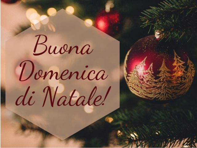 Buona domenica di Natale!