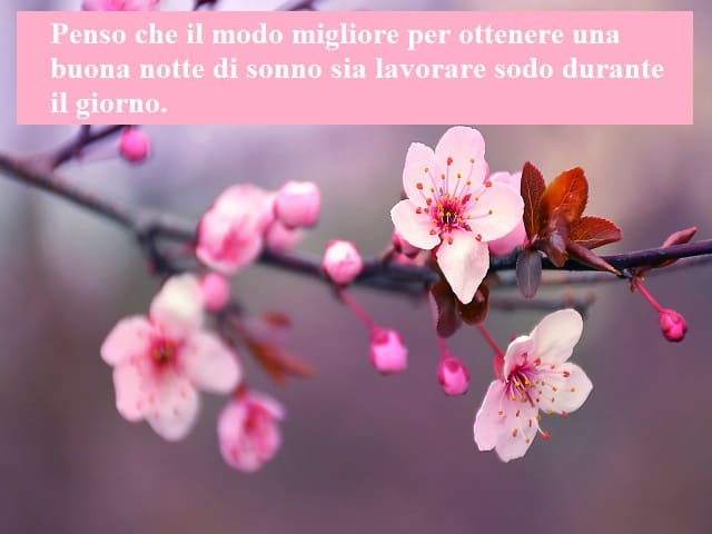 Penso che il modo migliore per ottenere una buona notte di sonno sia lavorare sodo durante il giorno.